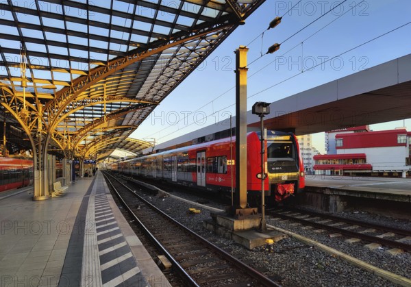 Central Station early in the morning with regional express, Cologne, Rhineland, North Rhine-Westphalia, Germany
