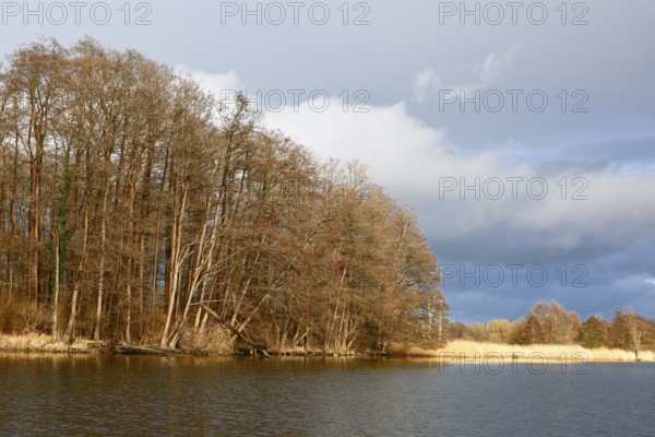 Spring atmosphere with cloudy skies and sunshine over a quiet river, Peenetal nature park Park, Mecklenburg-Western Pomerania, Germany