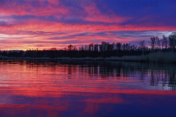 Colourful sunset with pink sky and trees reflecting in calm water, Peenetal nature park Park, Mecklenburg-Western Pomerania, Germany