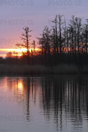 Sunset over a quiet river with silhouette of trees, Peenetal nature park Park, Mecklenburg-Western Pomerania, Germany