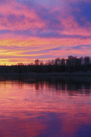 River at sunset with pink-purple sky and trees in the background, Peenetal nature park Park, Mecklenburg-Western Pomerania, Germany
