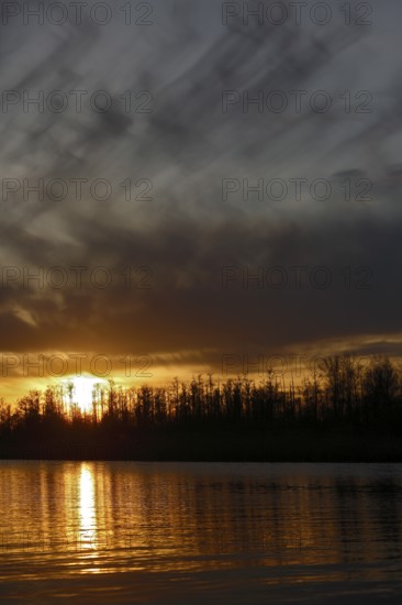 Dramatic sunset with dark sky and golden reflections, Peenetal nature park Park, Mecklenburg-Western Pomerania, Germany
