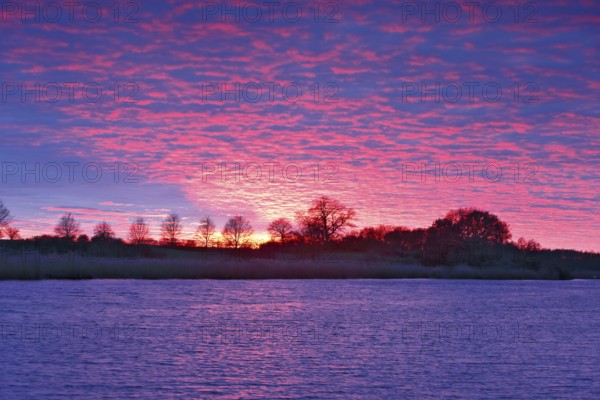 Intense sunset with pink clouds over a river, surrounded by trees, Peenetal nature park Park, Mecklenburg-Western Pomerania, Germany