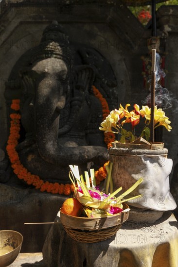 Flowers arranged for beautiful offerings in front of a Ganesha figure, Bali, Indonesia
