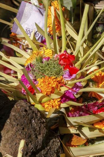 Sacrificial basket (canang) at Tirta Empul hot springs, Bali, Indonesia