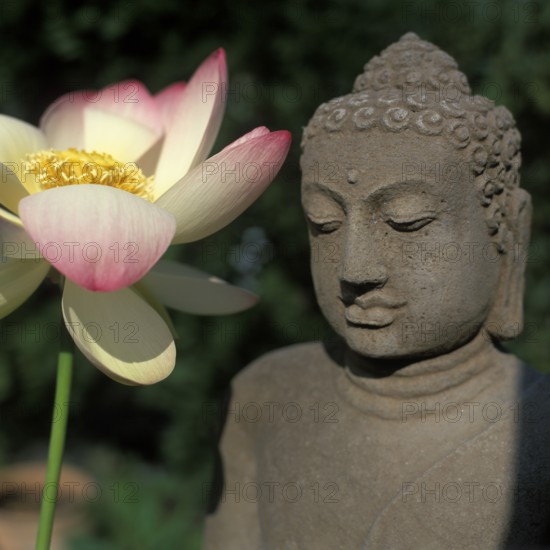 Buddha statue with lotus flower, Bali, Indonesia