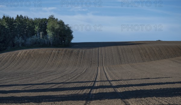 Ordered, large arable area, Mecklenburg-Western Pomerania, Germany