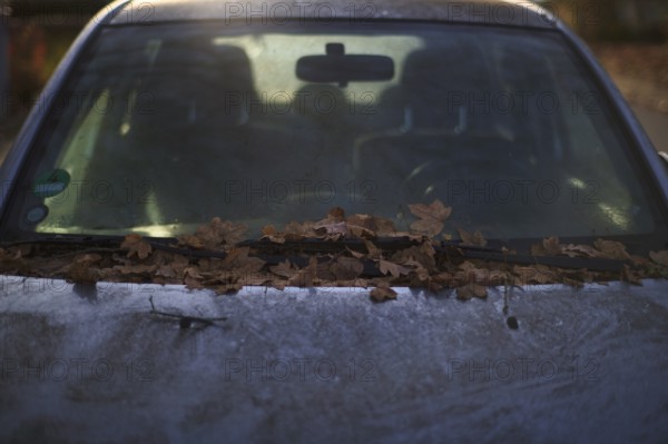 Windshield, car, vehicle, is full of leaves, autumn leaves, autumn, Stuttgart, Baden-Württemberg, Germany