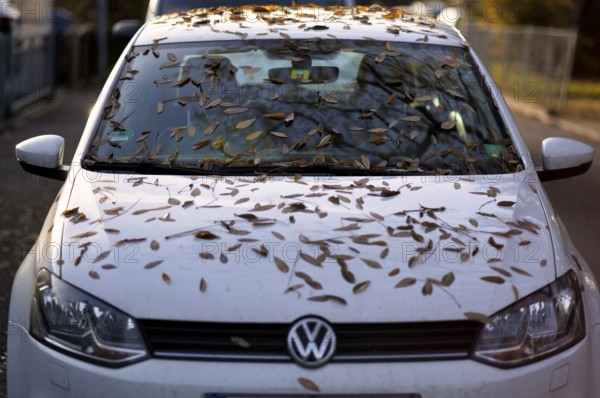 Windshield, car, vehicle, Volkswagen, VW, is full of leaves, autumn leaves, autumn, Stuttgart, Baden-Württemberg, Germany