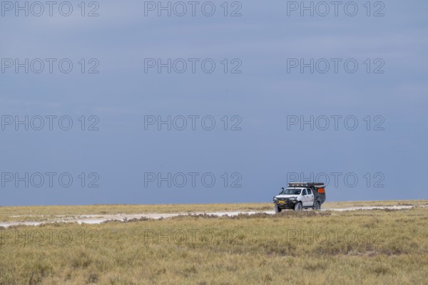 Safari car drives through steppe, Etosha National Park, Namibia