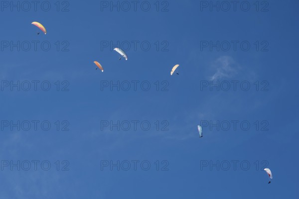 Paragliders in the sky above Brauneck, forming a diagonal, Bavarian Prealps, Isarwinkel, Lenggries, Upper Bavaria, Bavaria, Germany