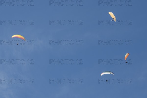 Paragliders in the sky over Brauneck, Bavarian Prealps, Isarwinkel, Lenggries, Upper Bavaria, Bavaria, Germany
