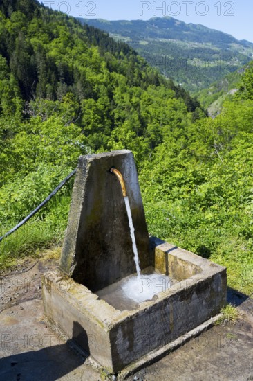 Water flows from a rustic well with a green forested mountain backdrop, water point near Khulo, drinking water, Autonomous Republic of Adjara, Adjaria, Lesser Caucasus, Georgia