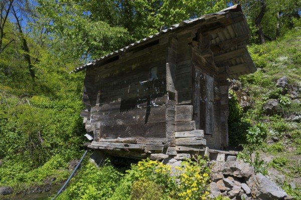 An old wooden hut stands on a rocky hill surrounded by green vegetation and wildflowers, old Adjarian water mill near Khulo, Chulo, Autonomous Republic of Adjara, Adjaria, Lesser Caucasus, Georgia