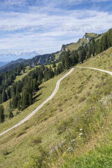 Wanderweg am Brauneck, Wegkreuzung, Bavarian Prealps, Isarwinkel, Lenggries, Upper Bavaria, Bavaria, Germany