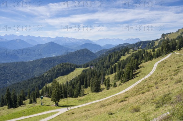 Wanderweg am Brauneck, Bavarian Prealps, Isarwinkel, Lenggries, Upper Bavaria, Bavaria, Germany