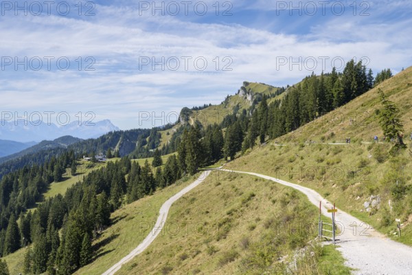 Wanderweg am Brauneck, Wegkreuzung, Bavarian Prealps, Isarwinkel, Lenggries, Upper Bavaria, Bavaria, Germany