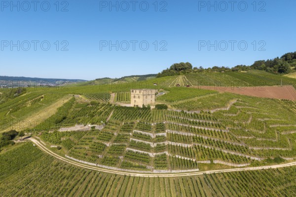 Vineyards spread around a central stone house surrounded by green nature, Y-Burg, Stetten im Remstal, Baden-Württemberg, Germany