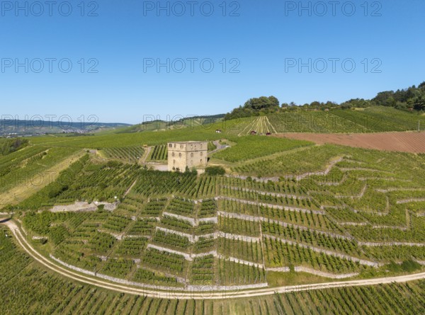 A stone house stands in terraced vineyards under clear skies, Y-Burg, Stetten im Remstal, Baden-Württemberg, Germany