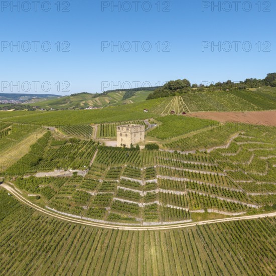 A stone house surrounded by vineyards under a clear blue sky, Y-Burg, Stetten im Remstal, Baden-Württemberg, Germany