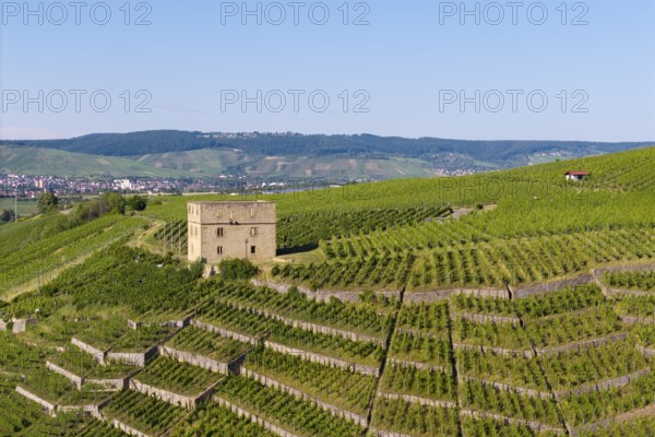 Close-up of a building surrounded by green vineyard terraces, Y-Burg, Stetten im Remstal, Baden-Württemberg, Germany