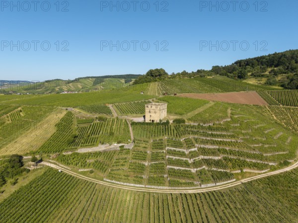 Green terraced vineyards with an old building in the center, Y-Burg, Stetten im Remstal, Baden-Württemberg, Germany