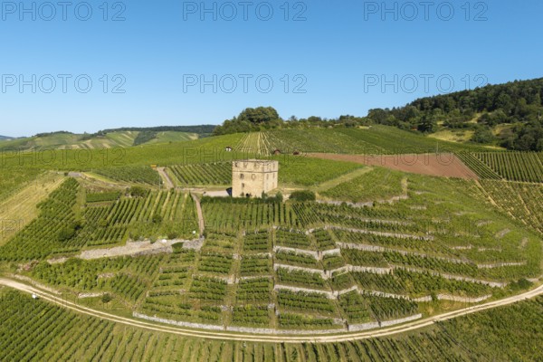 A stone house surrounded by sunny vineyards and green hills, Y-Burg, Stetten im Remstal, Baden-Württemberg, Germany