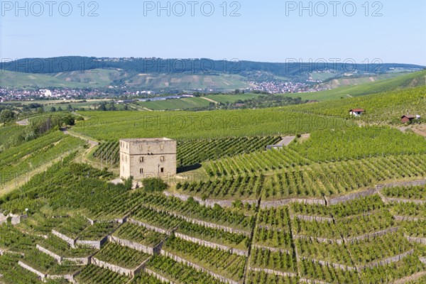 The stone house is surrounded by extensive vineyards in hilly surroundings, Y-Burg, Stetten im Remstal, Baden-Württemberg, Germany