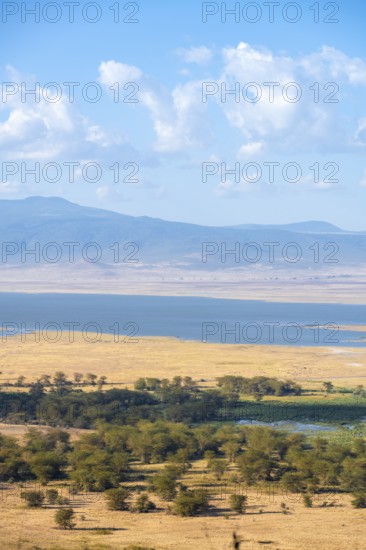 View of savanna landscape and lakes in the Ngorongoro Crater from the crater rim in the evening light, Ngorongoro Conservation Area, Tanzania