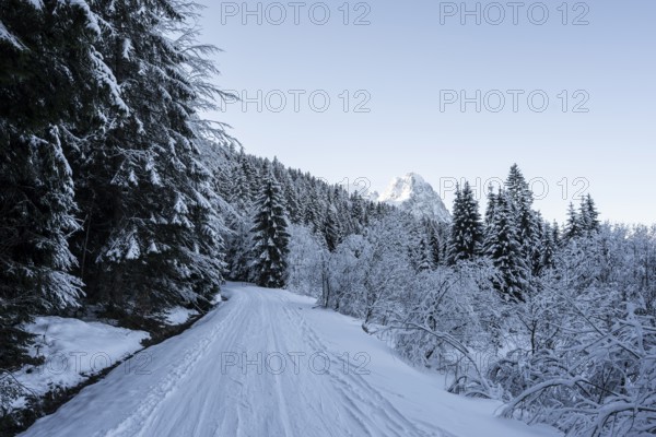View of hiking trail in snowy forest and Waxenstein summit, in winter, Wetterstein Mountains, Garmisch-Partenkirchen, Bavaria, Germany