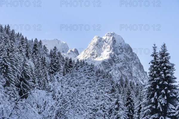 View of snowy forest and Waxenstein summit, in winter, Wetterstein Mountains, Garmisch-Partenkirchen, Bavaria, Germany