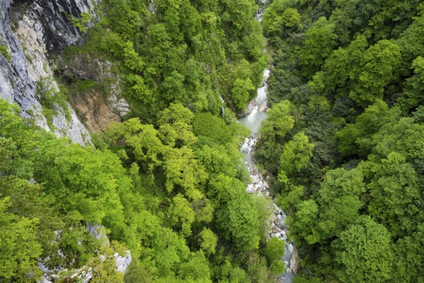 Small river flows through a lush green forest valley, Okatse River in Okatse Gorge, Canyon, Imereti Region, Imereti, Georgia