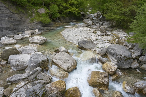 Clear stream flows through a rocky landscape surrounded by green trees, Okatse River, Imereti region, Imereti, Georgia