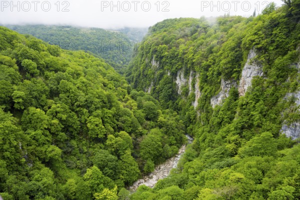 Dense forest gorge with steep cliffs and green valley, Okatse river in Okatse gorge, canyon, Imereti region, Imereti, Georgia