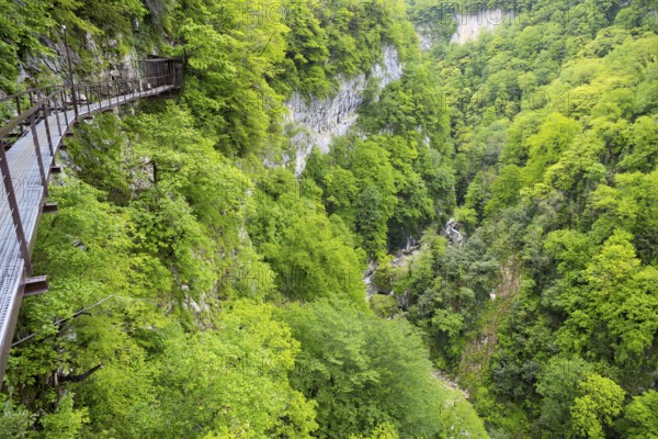Metal walkway in a forest gorge with lush green trees, Okatse gorge, canyon, Imereti region, Imereti, Georgia
