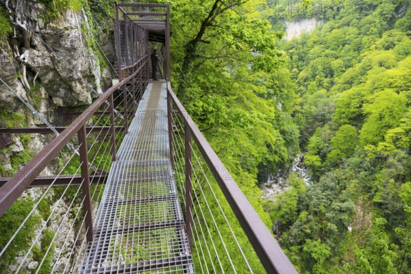 Metal footbridge leads through a green forest gorge, Okatse gorge, canyon, Imereti region, Imereti, Georgia