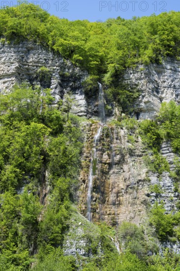 Small waterfall flows over a steep rock face surrounded by green forest, Okatse waterfall, Kinchkha waterfall, waterfall in three stages, Satsikvilo gorge, Imereti region, Imereti, Georgia