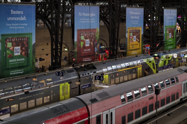 Interior view, RE, regional express, trains, tracks, platform, travelers, advertising, advertising, Ritter Sport chocolate, main station, Free and Hanseatic City of Hamburg, Germany