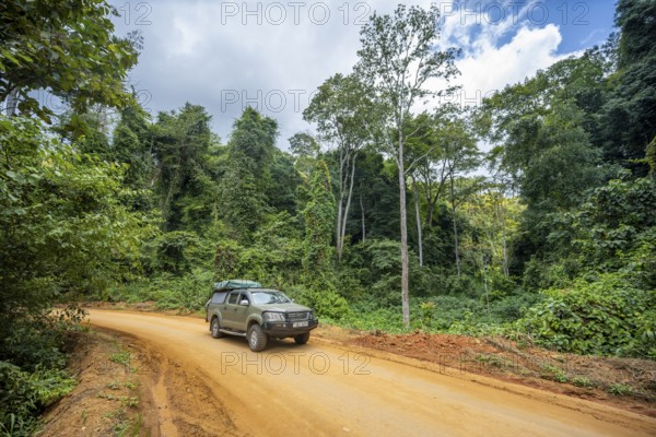 Toyota Hilux SUV drives on a dirt road through dense vegetation in tropical rainforest, Amani Nature Forest Reserve, Tanga, Tanzania