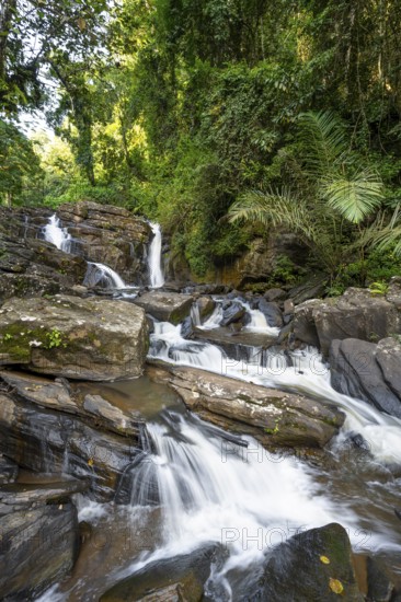 Derema Waterfall flows through thick vegetation, tropical rainforest in Amani Nature Forest Reserve, long exposure, Eastern Usambara Mountains, Tanga, Tanzania