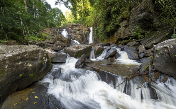 Derema Waterfall flows through thick vegetation, tropical rainforest in Amani Nature Forest Reserve, long exposure, Eastern Usambara Mountains, Tanga, Tanzania