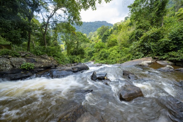 Waterfall flows through thick vegetation, tropical rainforest in Amani Nature Forest Reserve, long exposure, Eastern Usambara Mountains, Tanga, Tanzania