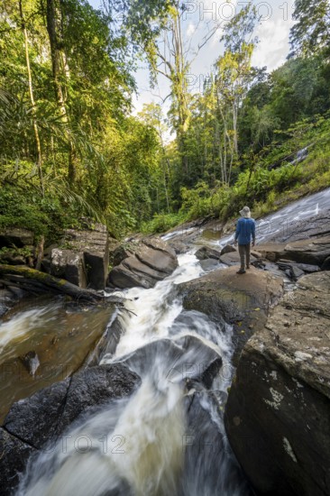 Tourist at Derema Waterfall, flowing through thick vegetation, tropical rainforest in Amani Nature Forest Reserve, long exposure, Eastern Usambara Mountains, Tanga, Tanzania