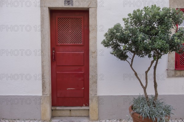 Red door in white house wall next to a pot with a green plant, Ericeira, Portugal