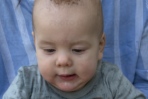 Portrait, baby at half a year, Mecklenburg-Vorpommern, Germany