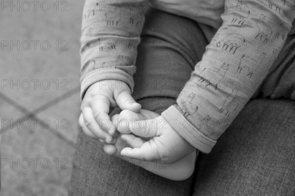 Hands and feet of a baby, half a year old, black and white, Mecklenburg-Vorpommern, Germany