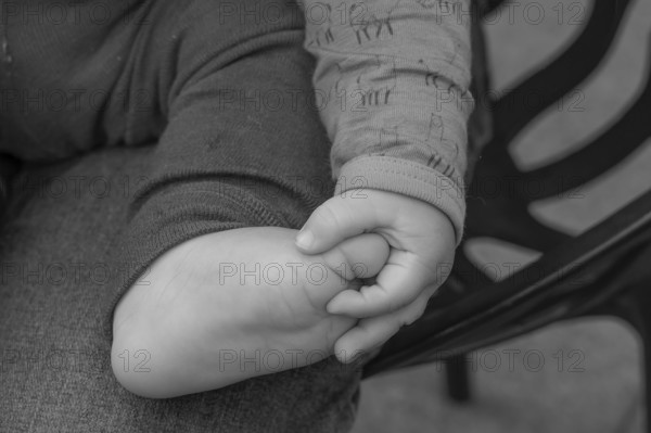 Hand and foot of a baby, half a year old, black and white, Mecklenburg-Vorpommern, Germany