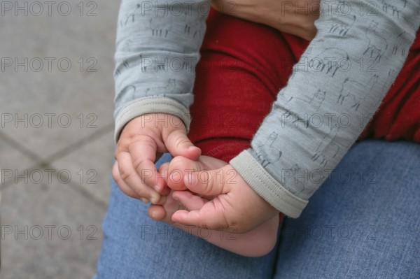 Hands and feet of a baby, half a year old, Mecklenburg-Vorpommern, Germany