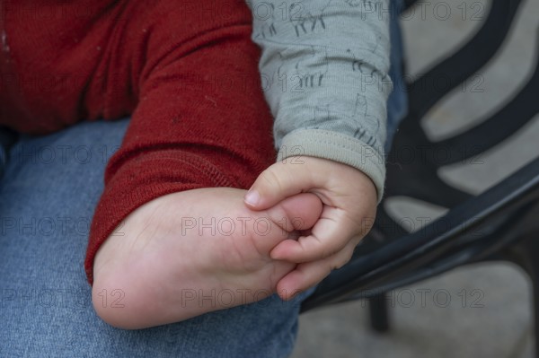 Hand and foot of a baby, half a year old, Mecklenburg-Vorpommern, Germany
