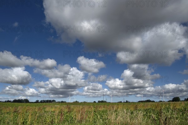 Landscape with wind turbines, cluster clouds (Cumulus), Mecklenburg-Western Pomerania, Germany